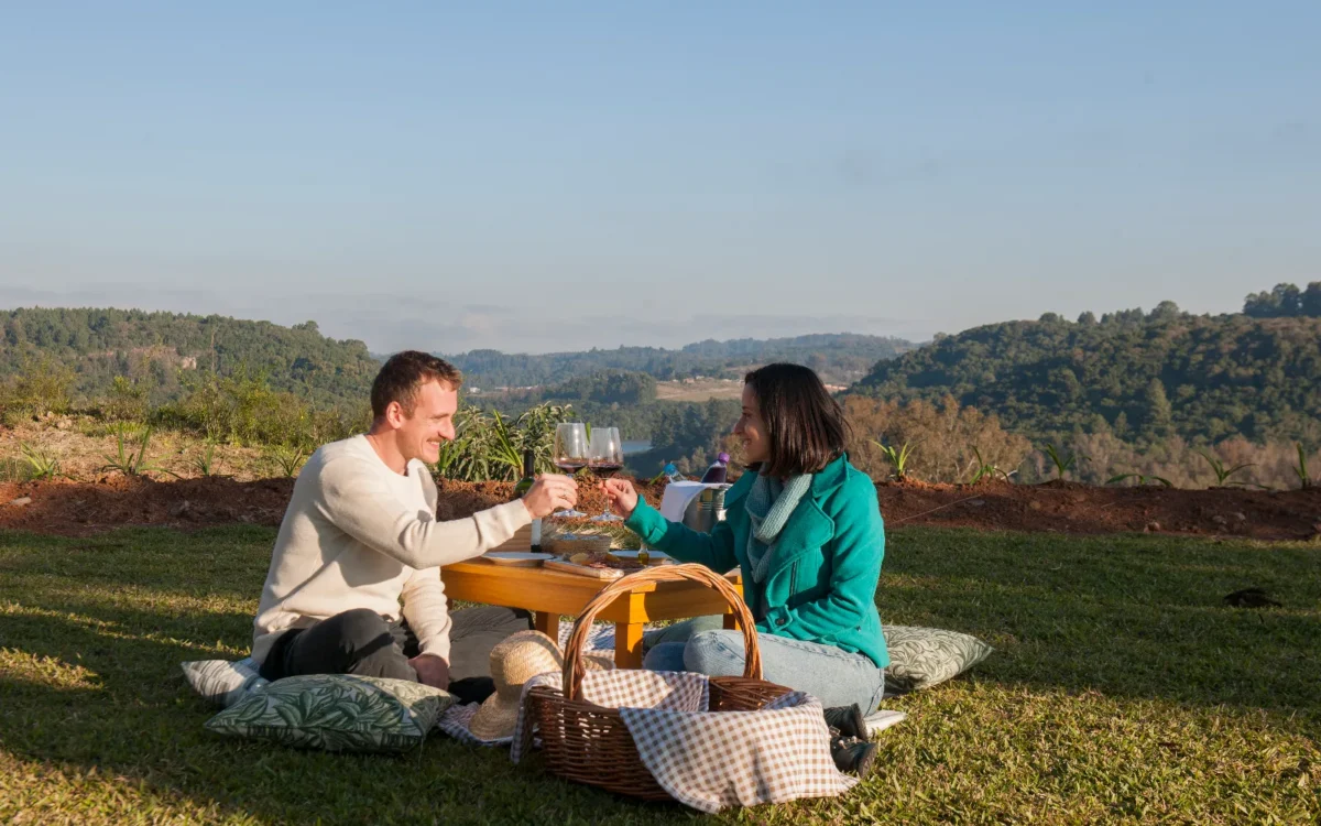 Casal brindando com taças de vinho durante piquenique ao ar livre com cesta, paisagem de vale e floresta ao fundo
